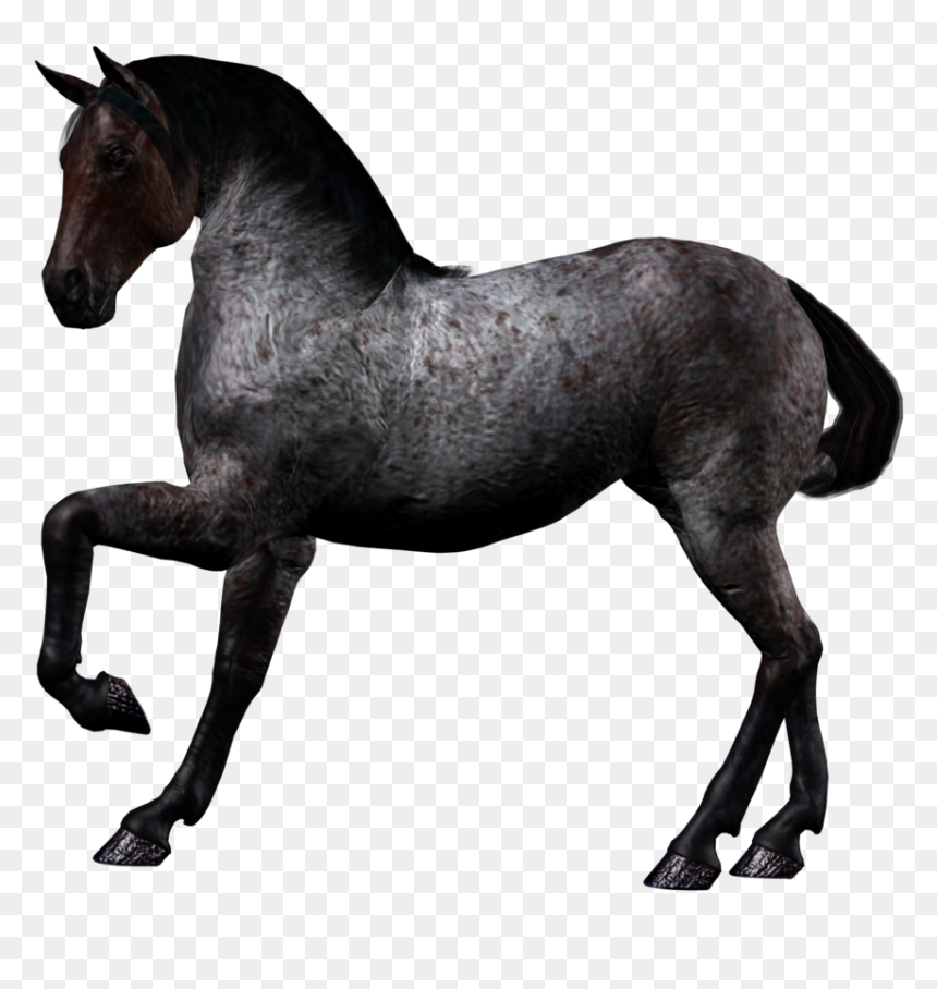 Black Horse Png, Transparent Png - horse png