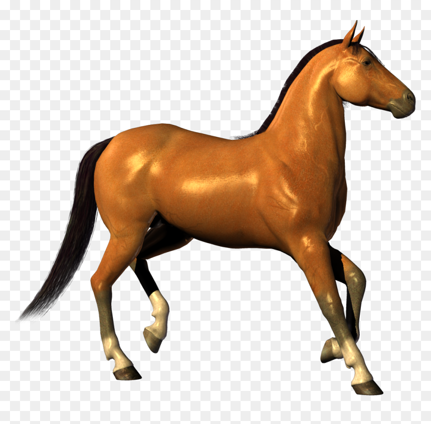Horse White Background Hd, HD Png Download - horse png