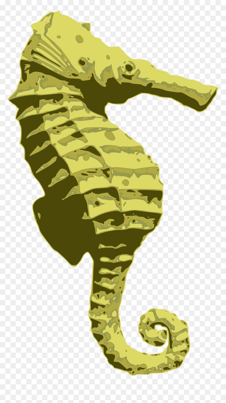 Northern Seahorse, HD Png Download - horse png