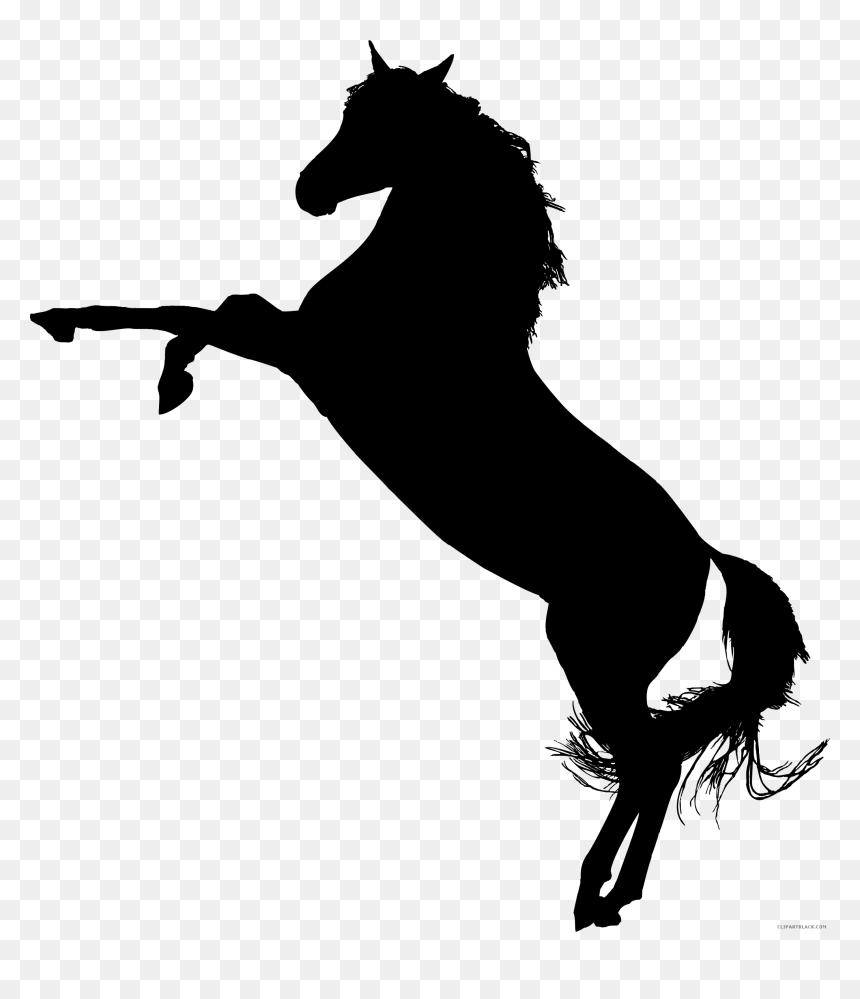 Silhouette Of Horse, HD Png Download - horse png