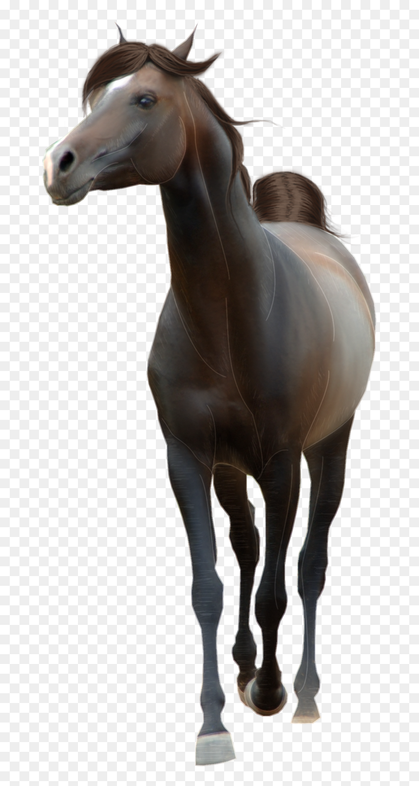 Png Horse, Transparent Png - horse png