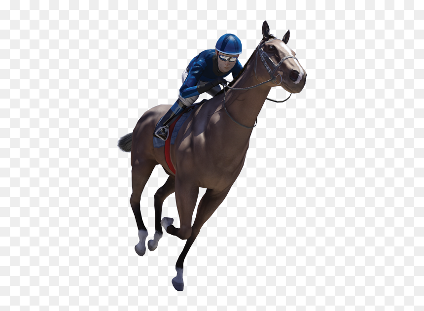 Jockey Horse Png, Transparent Png - horse png