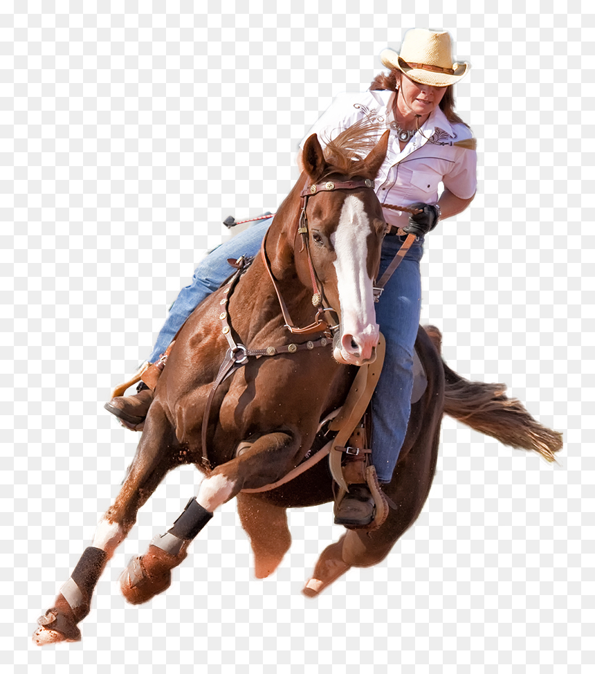 Sorrel, HD Png Download - horse png