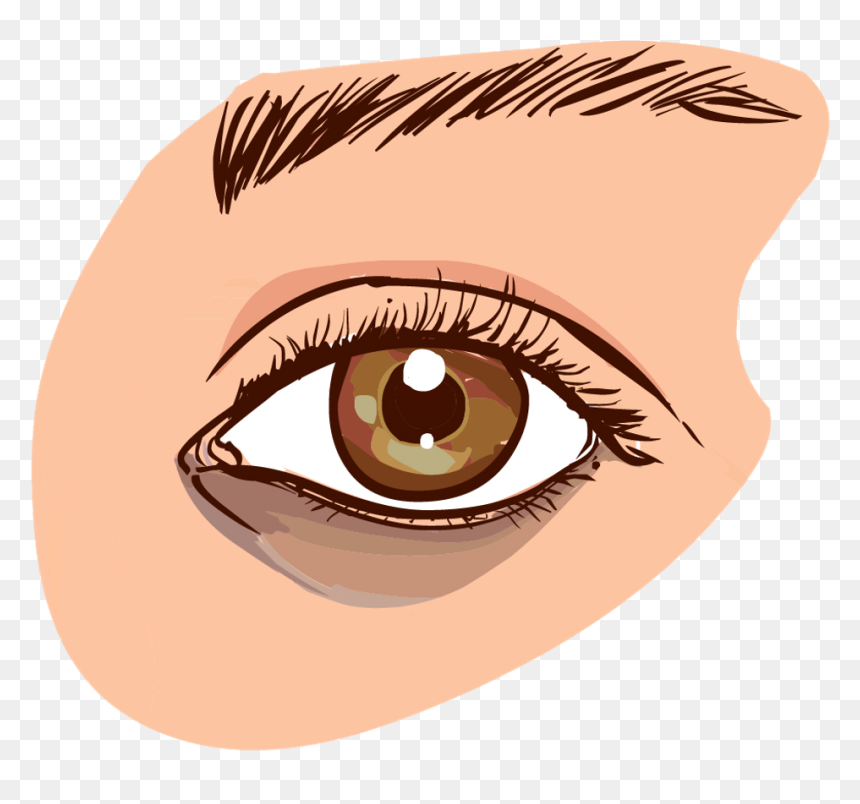 Get Rid Of Dark Circles Fast, HD Png Download - eyes png