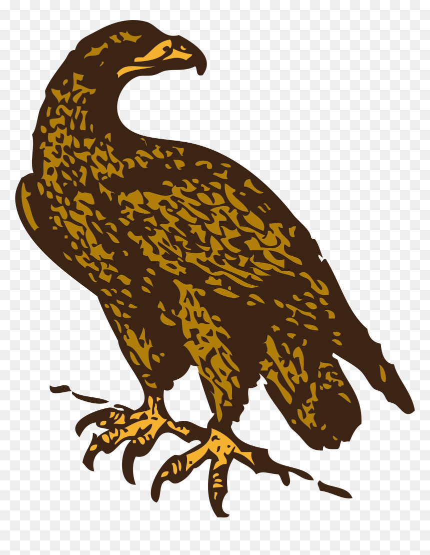 Clip Art Golden Eagle, HD Png Download - eagle png