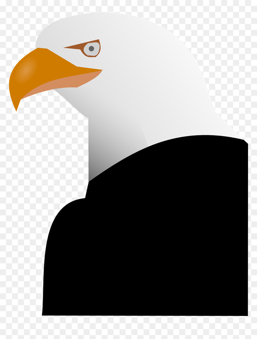 Eagle, HD Png Download - eagle png