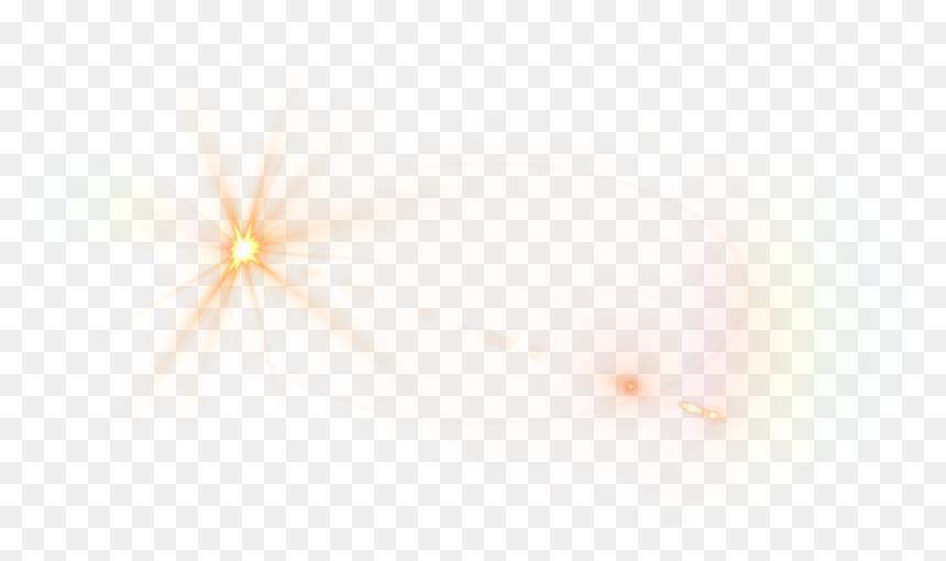 Insect, HD Png Download - flare png