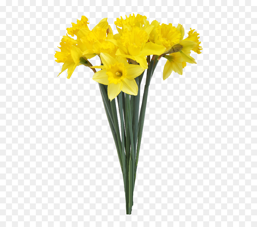 Flowers In Vase On White Background, HD Png Download - plant png