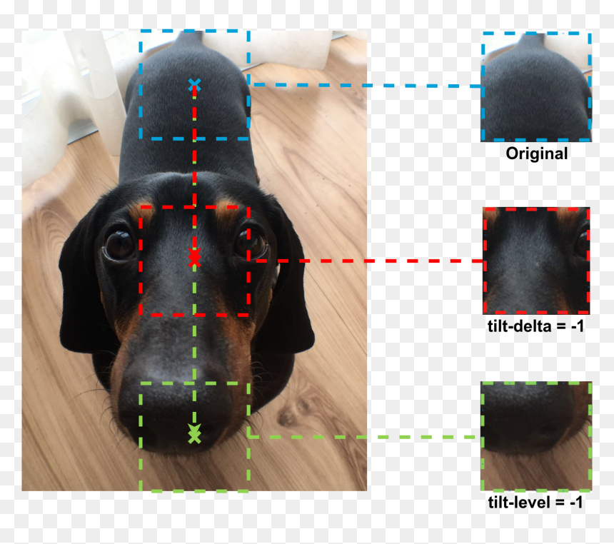 Dog, HD Png Download - gst png
