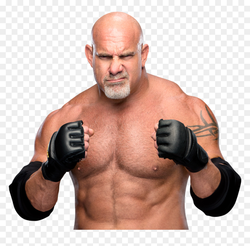 Goldberg Png, Transparent Png - finn balor png
