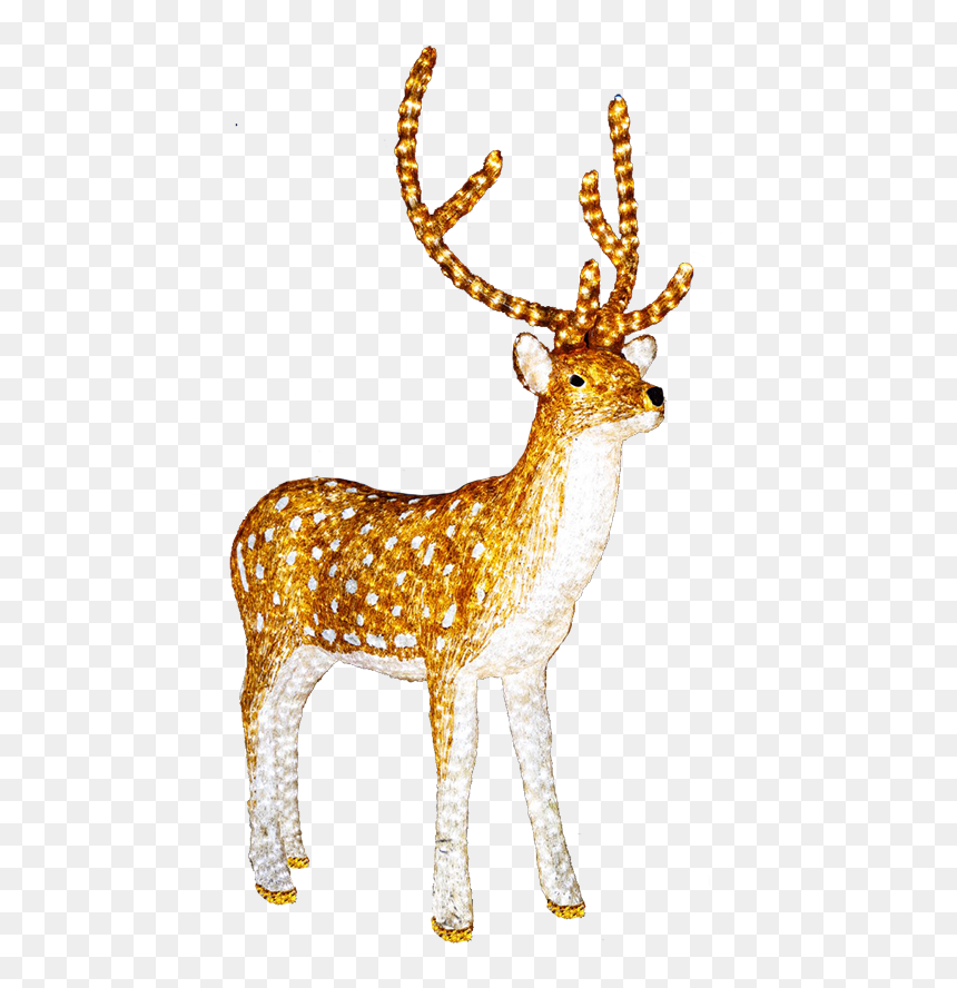 Light Up Reindeer Png, Transparent Png - reindeer png