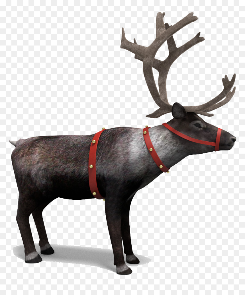 Reindeer Png, Transparent Png - reindeer png