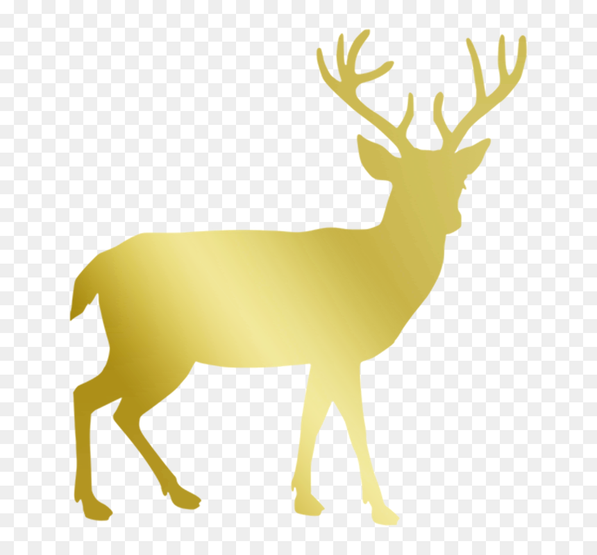 Deer Silhouette Transparent Background, HD Png Download - reindeer png