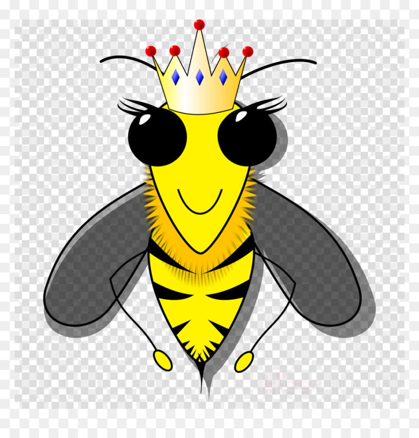 Clip Art Pictures Of Bees, HD Png Download - honey png