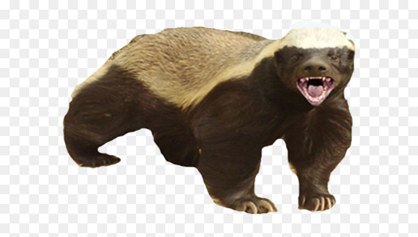 Honey Badger Dont Care, HD Png Download - honey png