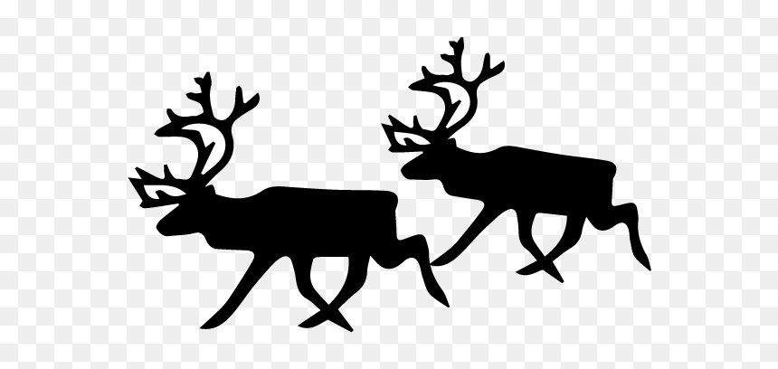 Black And White Reindeer, HD Png Download - reindeer png