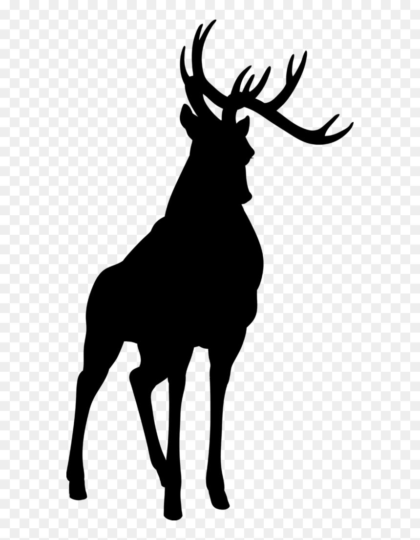 Elk, HD Png Download - reindeer png
