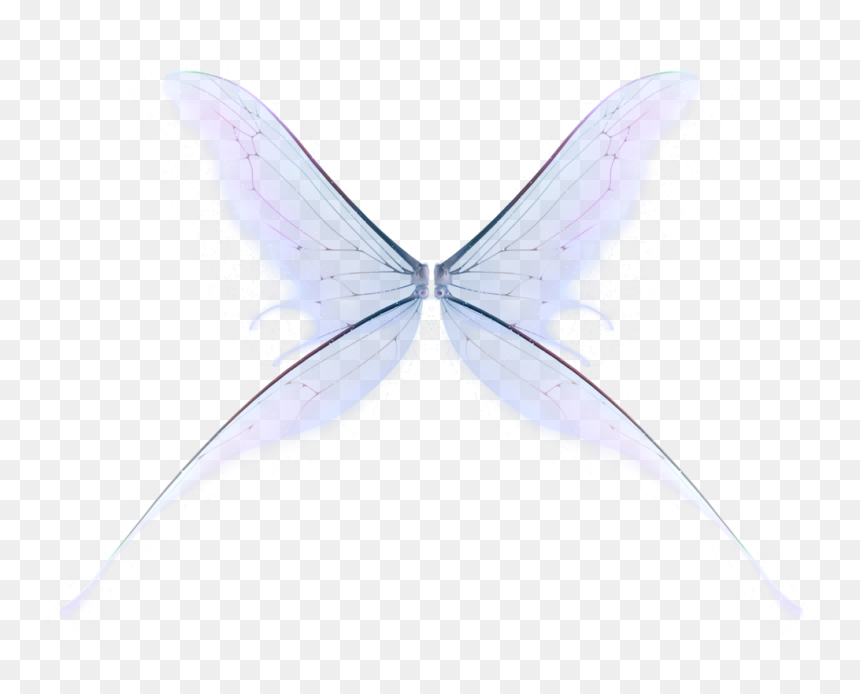 Polyommatus, HD Png Download - fairy wings png
