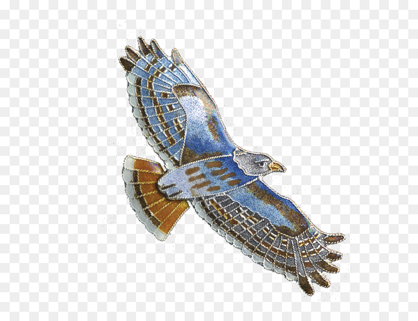 Northern Harrier, HD Png Download - hawk png