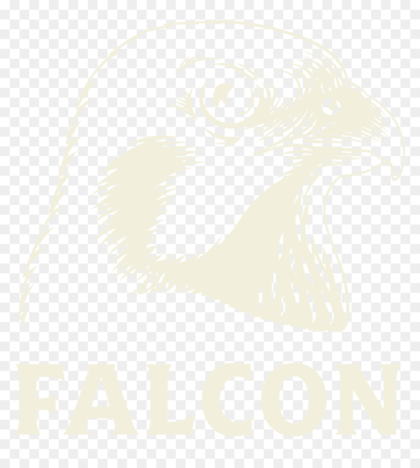 Falcon Öl, HD Png Download - hawk png