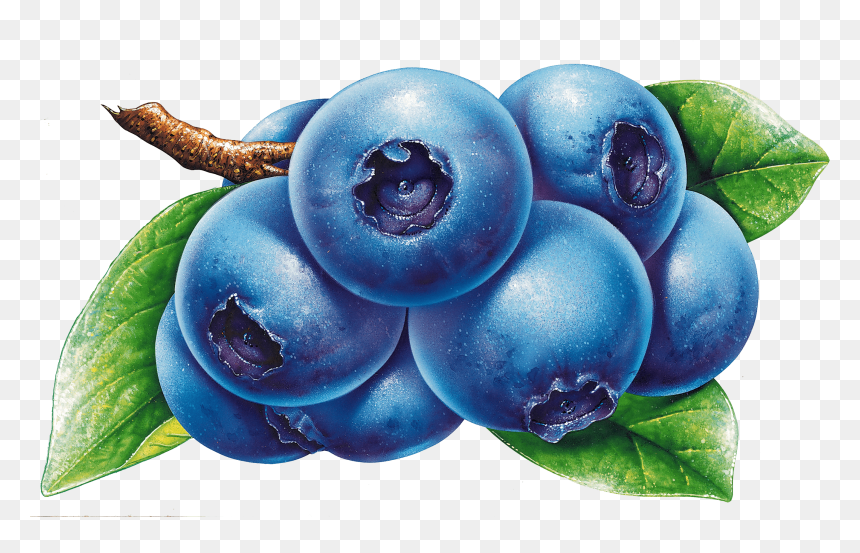 Clipart Blueberries, HD Png Download - blueberry png