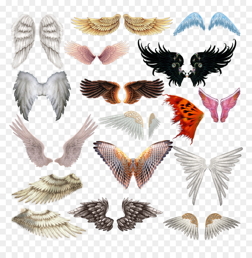 Wings, HD Png Download - fairy wings png