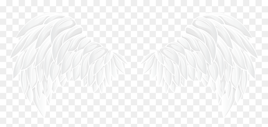 White Wings Png, Transparent Png - fairy wings png