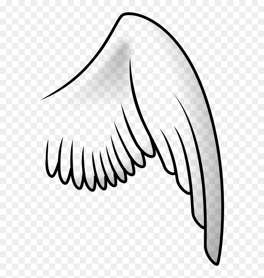 Bird Wing Clip Art, HD Png Download - fairy wings png
