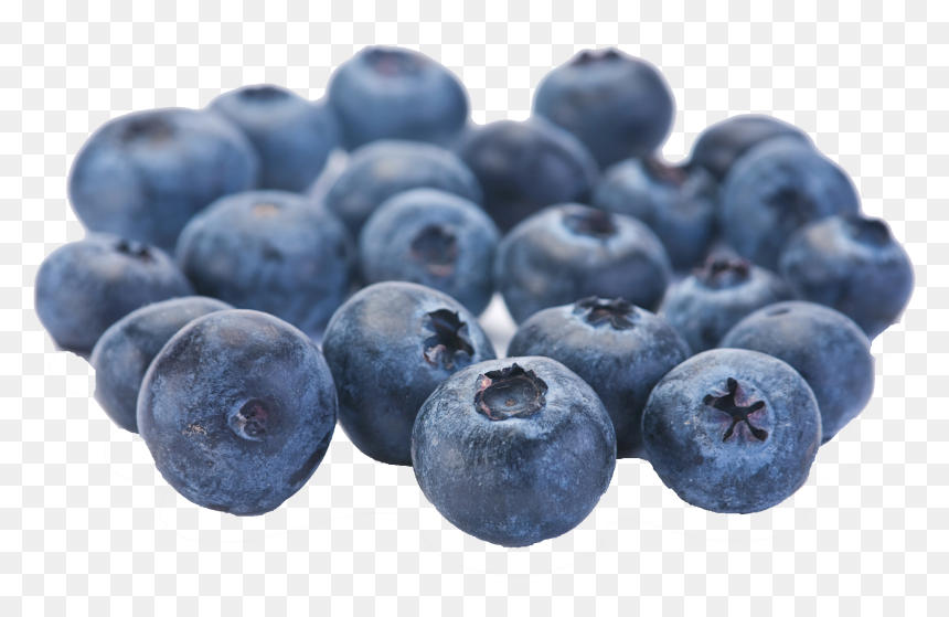 Blueberries Fruit, HD Png Download - blueberry png