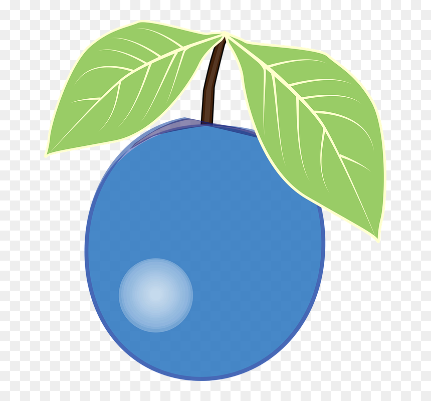 Blue Berry Clipart, HD Png Download - blueberry png