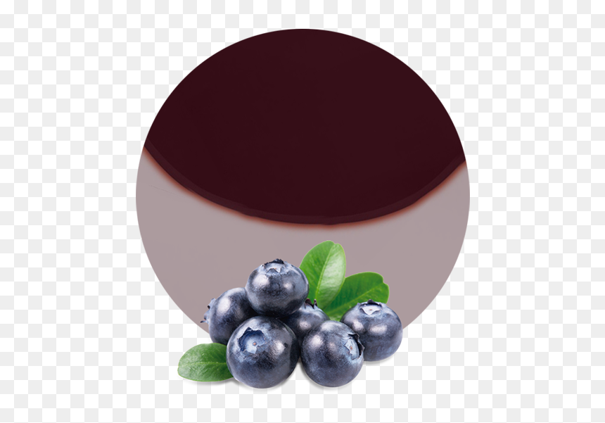 Forest Blueberry Png, Transparent Png - blueberry png