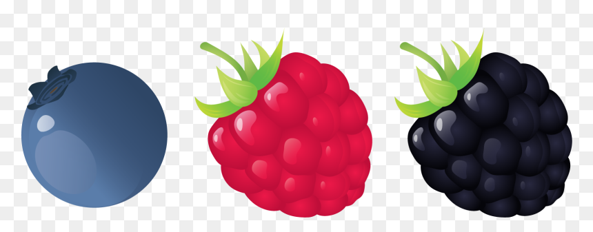 Seedless Fruit, HD Png Download - blueberry png