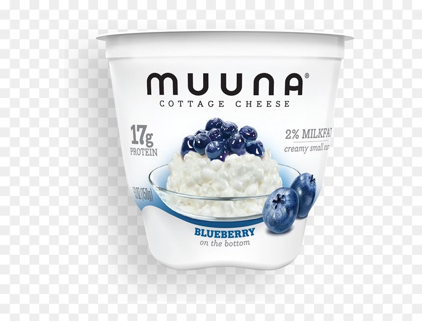 Cottage Cheese With Mango, HD Png Download - blueberry png