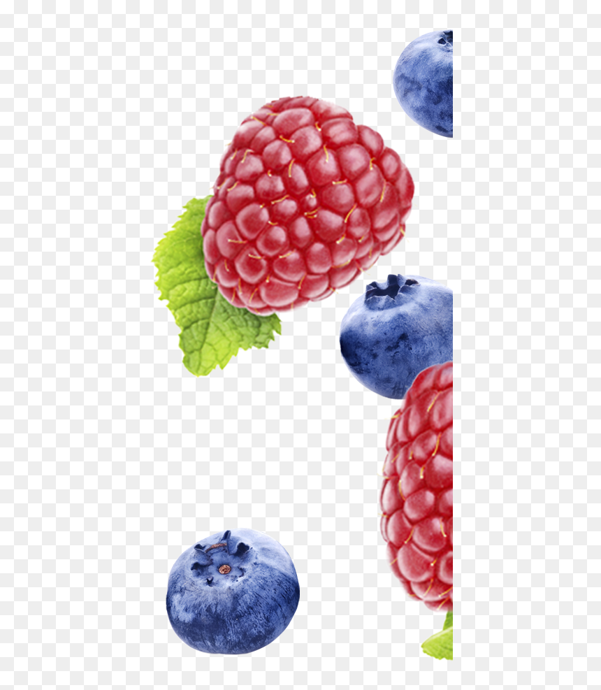 Frutti Di Bosco, HD Png Download - blueberry png