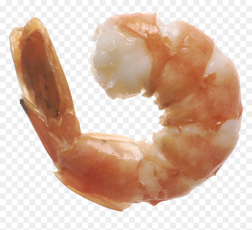 Shrimp Eat, HD Png Download - shrimp png