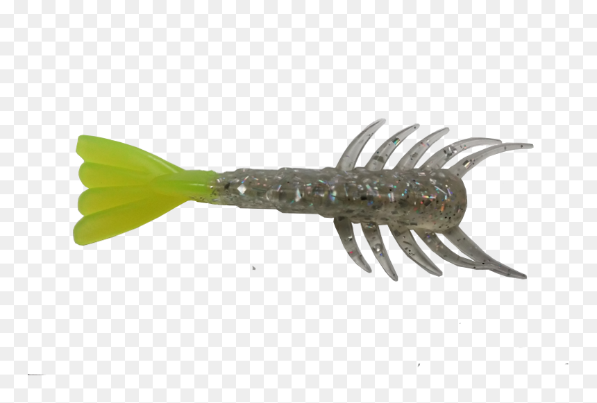Shrimp, HD Png Download - shrimp png
