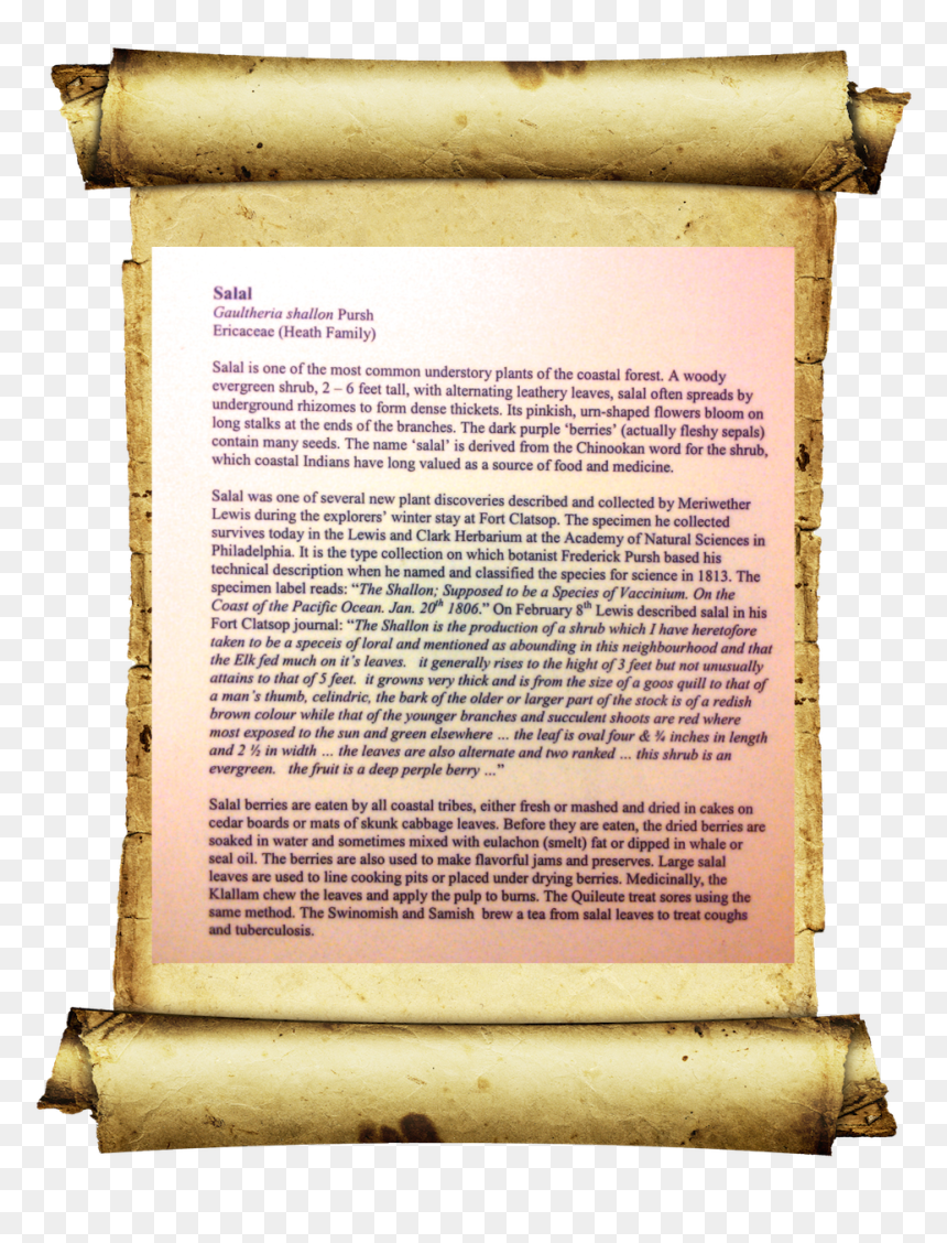 Old Paper Png, Transparent Png - old paper png