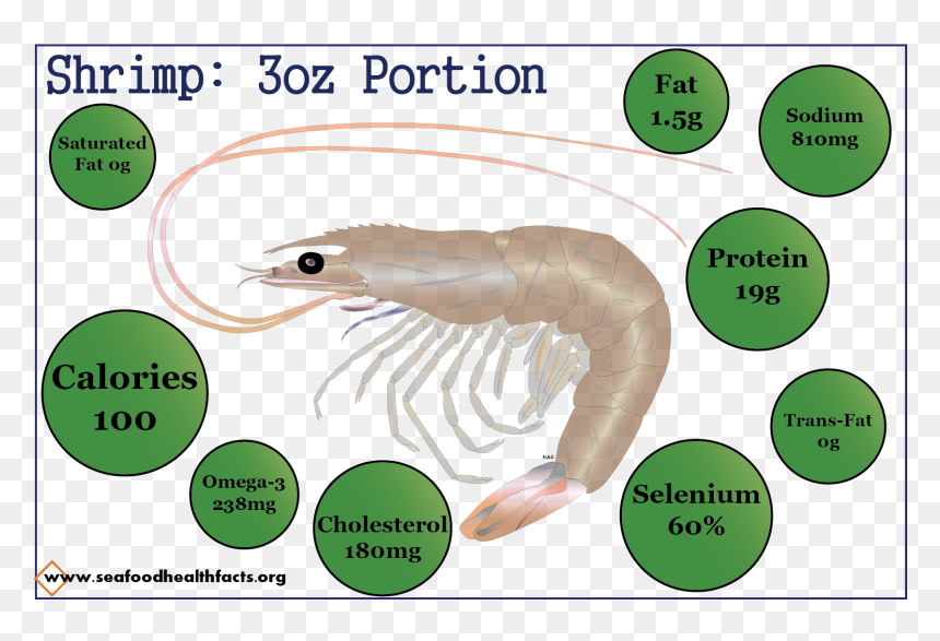 Cartoon, HD Png Download - shrimp png