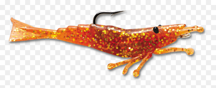 Dendrobranchiata, HD Png Download - shrimp png