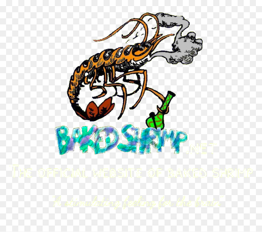 Clip Art, HD Png Download - shrimp png