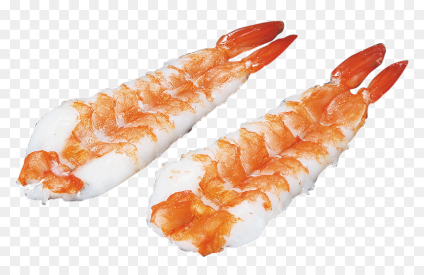 Sushi Ebi Png, Transparent Png - shrimp png