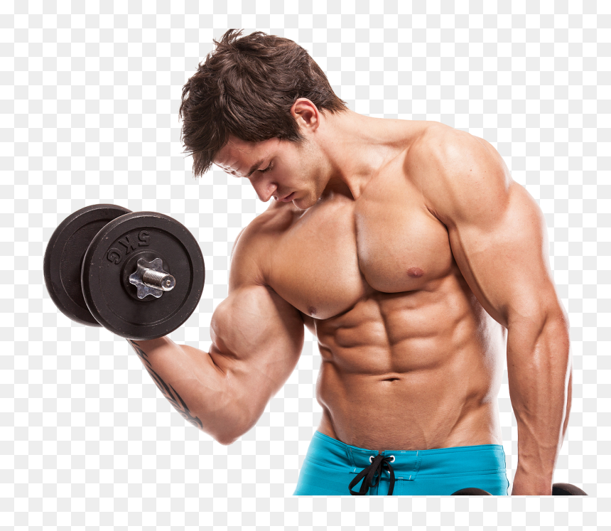 Build Muscle, HD Png Download - gym body png