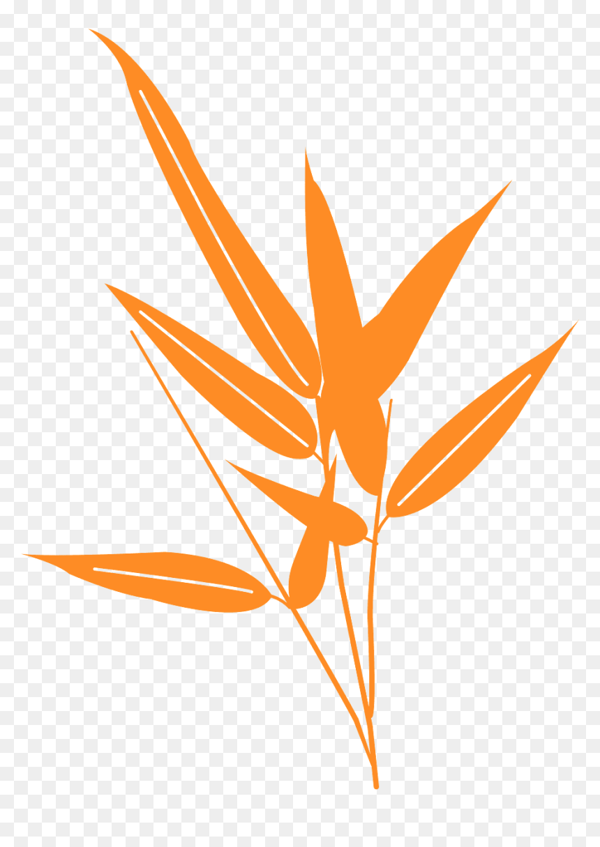 Bamboo Leaves Clipart, HD Png Download - bamboo plants png