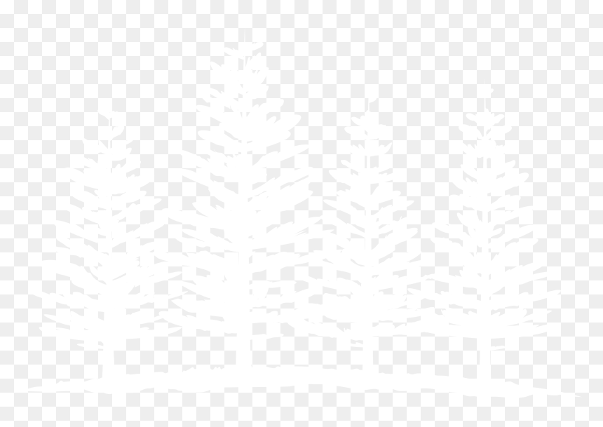 In Addition To Our Core Space Beer Team, We"ve Assembled - 4 Pines Logo Png, Transparent Png - space core png