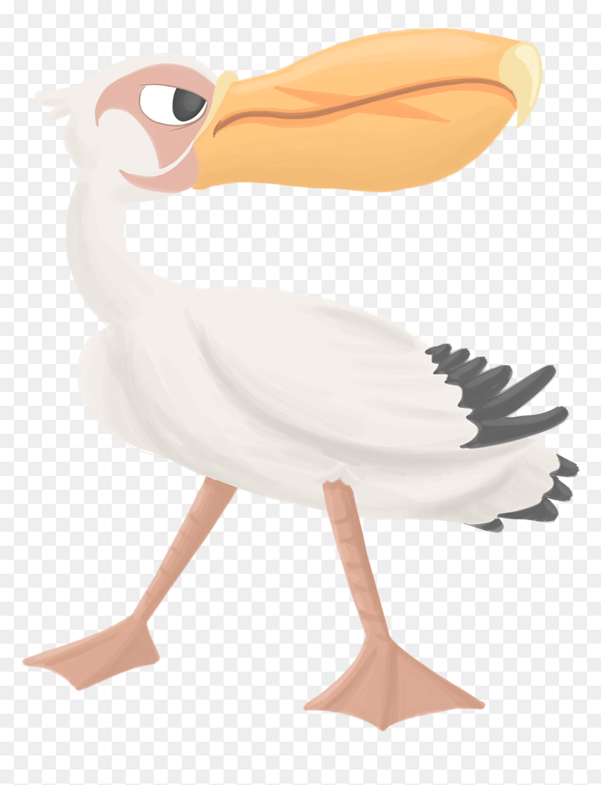 Pelican, HD Png Download - tadpole png