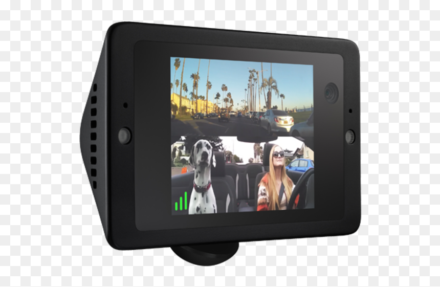 Owl Cam, HD Png Download - za warudo png