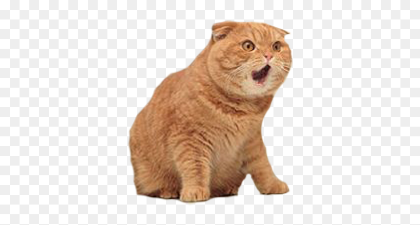Za Warudo Png, Transparent Png - za warudo png