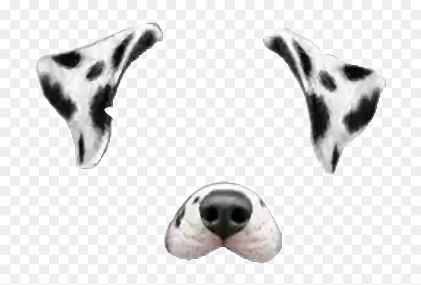 #snap #snapchat #dog #dalmata #tumblr #rose #cute #corazon - Filtros De Snapchat Perro, HD Png Download - snapchat png tumblr