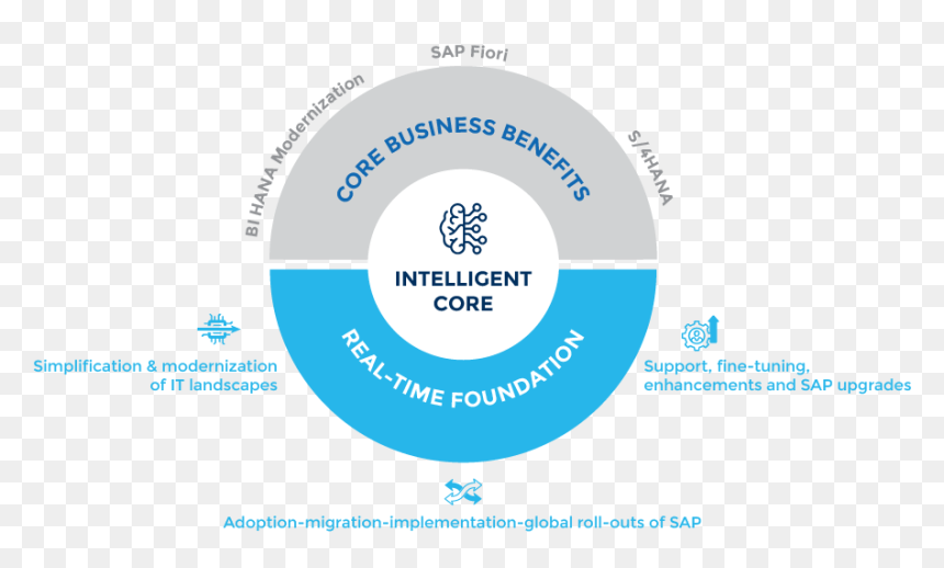 Conversioniq - Circle, HD Png Download - sap png