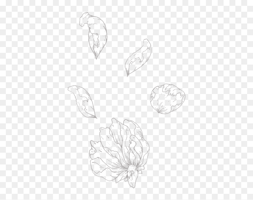 Elle X Troy Falling Rose 02 - Sketch, HD Png Download - rose falling png